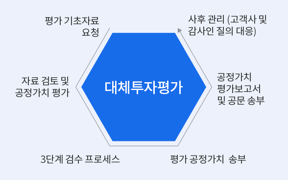대체투자평가 평가프로세스 : 1. 평가 기초자료 요청, 2. 자료 검토 및 공정가치 평가, 3. 3단계 검수 프로세스, 4. 평가 공정가치 송부, 5. 공정가치 평가보고서 및 공문 송부, 6. 사후 관리 (고객사 및 감사인 질의 대응)